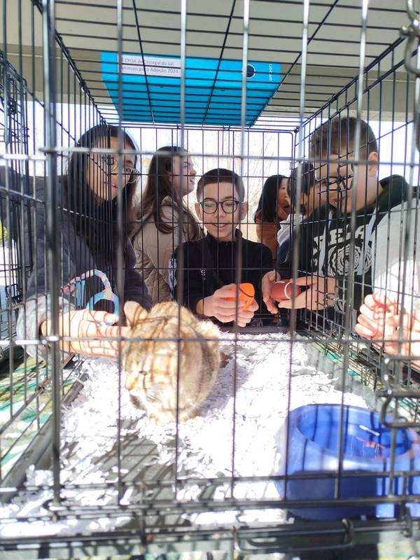Bem_Estar_Animal_2